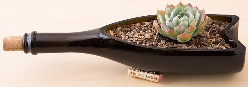 Bonsai Jack تربة العصاريات، الصبار وبونساي - مزيج جاك الجريتي - 2 كوارت - تصريف سريع - مكافحة تعفن الجذور - pH محسّن - Image 5